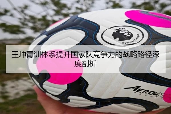 王坤青训体系提升国家队竞争力的战略路径深度剖析